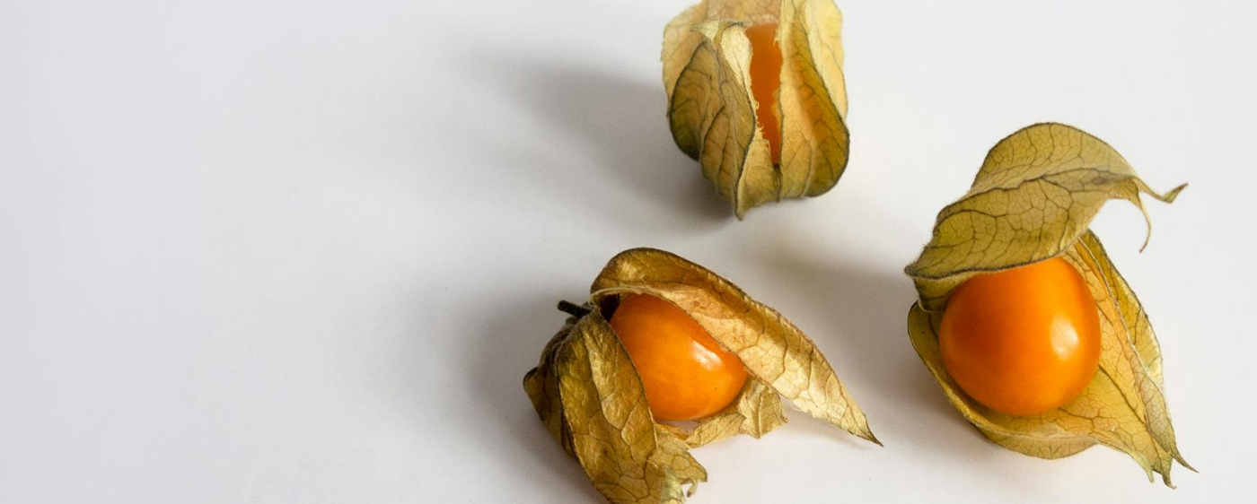 Ground Cherries for Ground Cherry Upside Down Cake