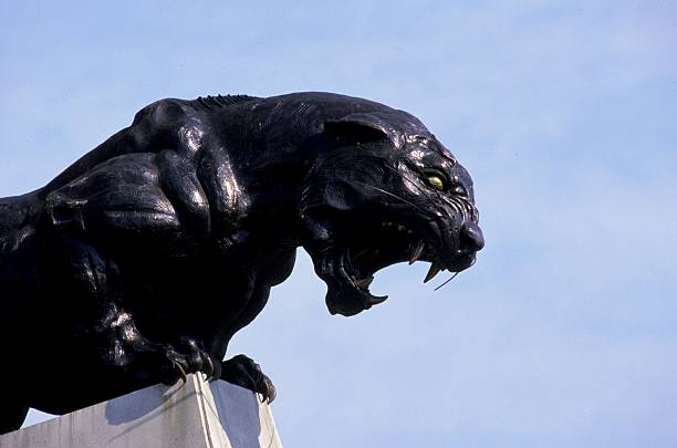 View of a stadium statue of a panther taken during the game between the Jacksonville Jaguars and the Carolina Panthers at the Ericsson Stadium in...