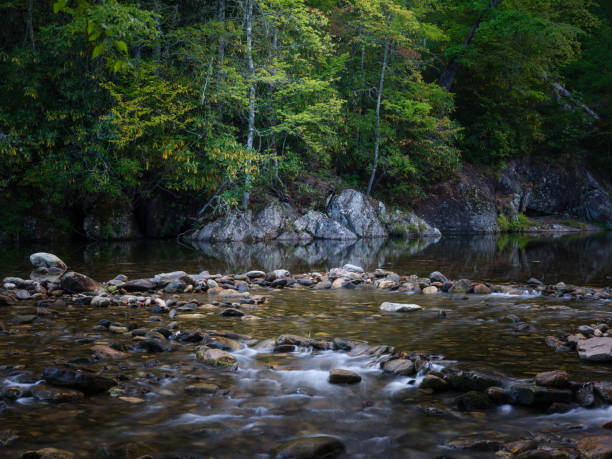 scenic view of river flowing through rocks in forest,asheville,north carolina,united states,usa - lumber river nc stock pictures, royalty-free photos & images