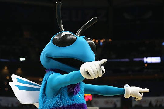 Hugo the Hornet in action during their game against the Chicago Bulls at Time Warner Cable Arena on November 3, 2015 in Charlotte, North Carolina....