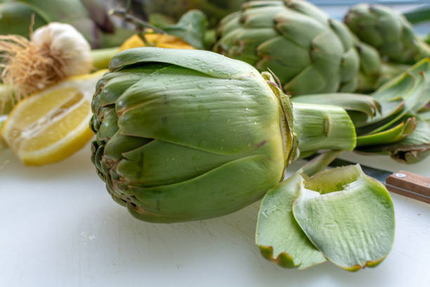 preparation of heads of fresh raw artichokes plants from artichoke plantation in argolida, greece ready to cook with lemon - artichokes soaking stock pictures, royalty-free photos & images