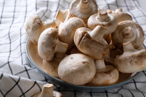 a bunch of whole raw fresh mushrooms in a plate, on a white table or background. mushrooms are like vegetable protein. the concept of vegetarian and vegan food and diet. veganism and vegetarianism. cooking at home or in a restaurant. - mushrooms whole stock pictures, royalty-free photos & images