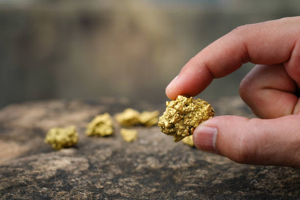 the pure gold ore found in the mine is in the hands of men. - gold nugget stock pictures, royalty-free photos & images