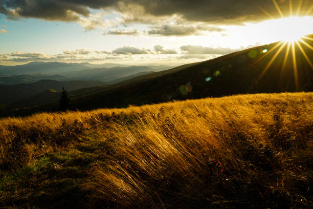 scenic view of field against sky during sunset,roan mountain,tennessee,united states,usa - roan mountain stock pictures, royalty-free photos & images