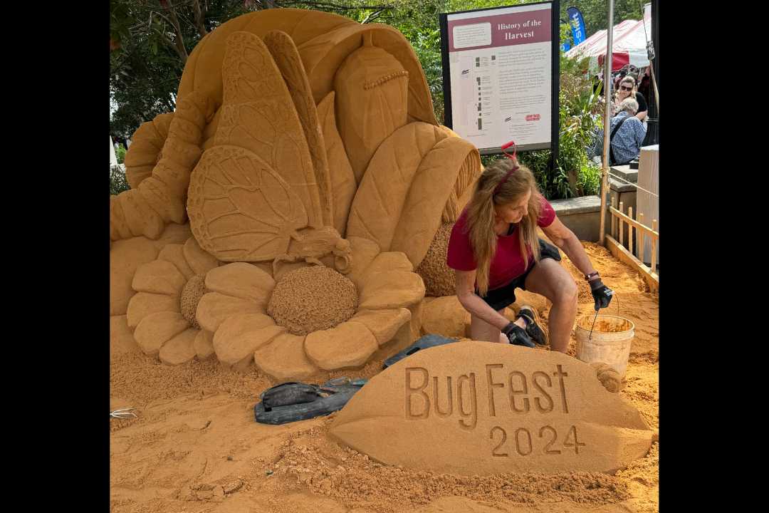 BugFest infests downtown Raleigh